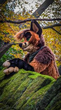 View araety-kintaey-photography's Gallery
